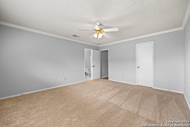 Image 14 of 27 For 7902 Chestnut Bear