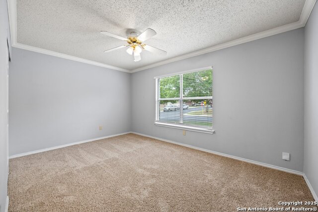 Image 17 of 27 For 7902 Chestnut Bear