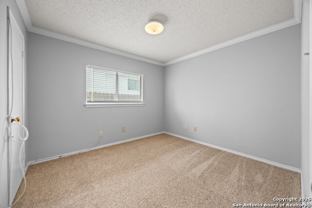 Image 18 of 27 For 7902 Chestnut Bear