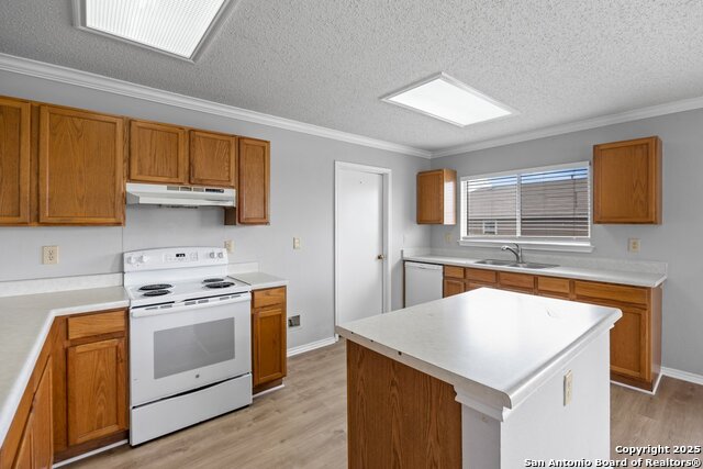 Image 9 of 27 For 7902 Chestnut Bear