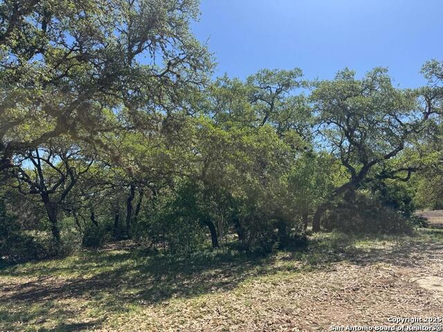 Image 27 of 42 For 2485 Bump Gate