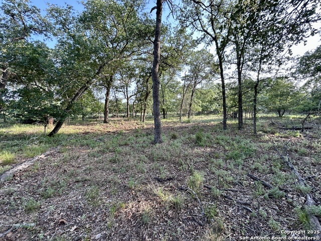 Details for 1680 Maldonado, La Vernia, TX 78121