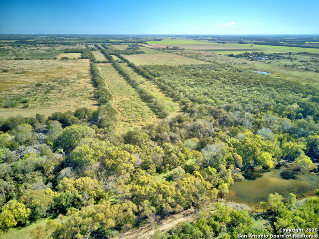 Listing photo id 6 for - Concordia Ln