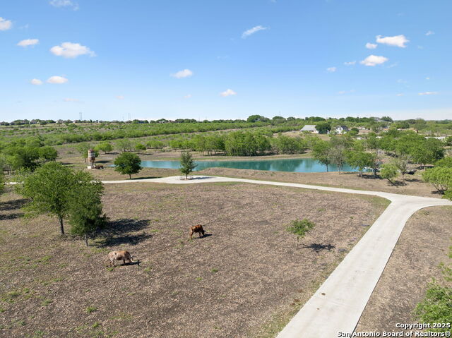 Listing photo id 47 for 148 Lakecreek