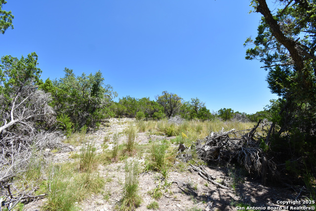 Image 4 of 12 For 296 Timber Creek