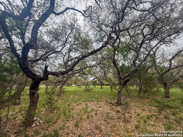 Listing photo id 8 for 23407 Osceola Bluff