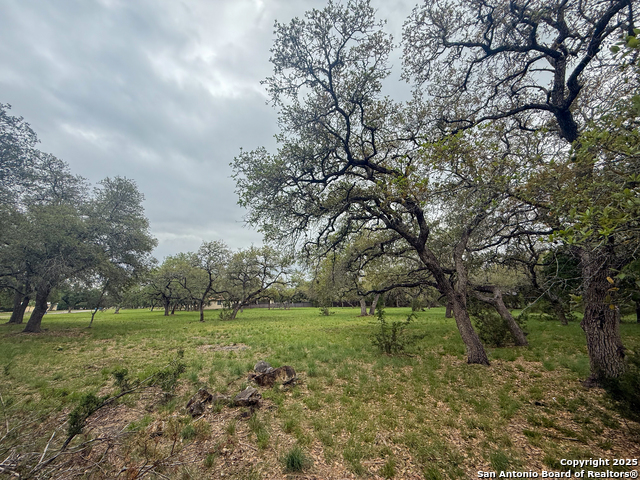 Listing photo id 9 for 23407 Osceola Bluff