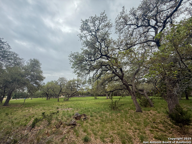 Listing photo id 10 for 23407 Osceola Bluff