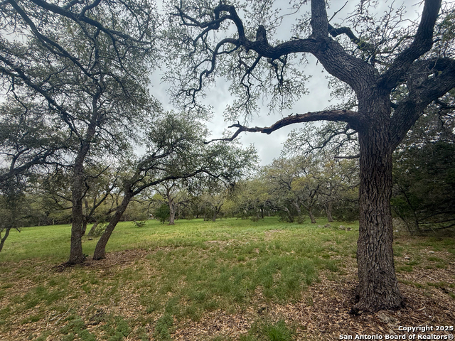 Listing photo id 11 for 23407 Osceola Bluff