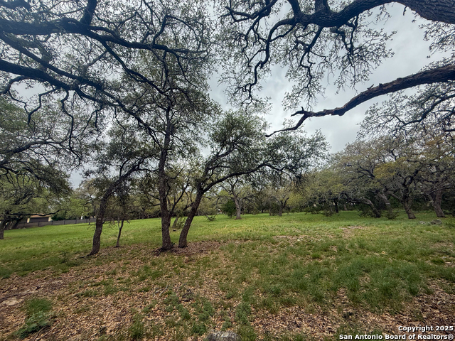 Listing photo id 12 for 23407 Osceola Bluff
