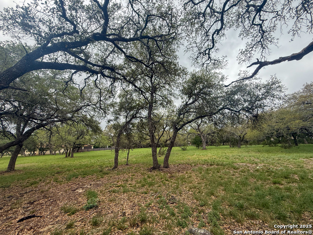Listing photo id 13 for 23407 Osceola Bluff