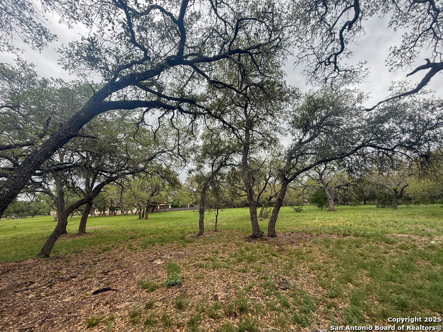 Listing photo id 14 for 23407 Osceola Bluff