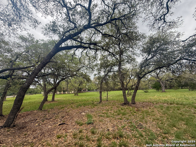 Listing photo id 15 for 23407 Osceola Bluff