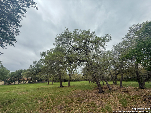 Listing photo id 16 for 23407 Osceola Bluff