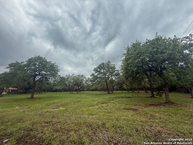Listing photo id 0 for 23407 Osceola Bluff