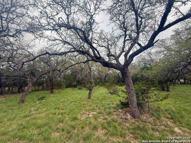 Listing photo id 1 for 23407 Osceola Bluff
