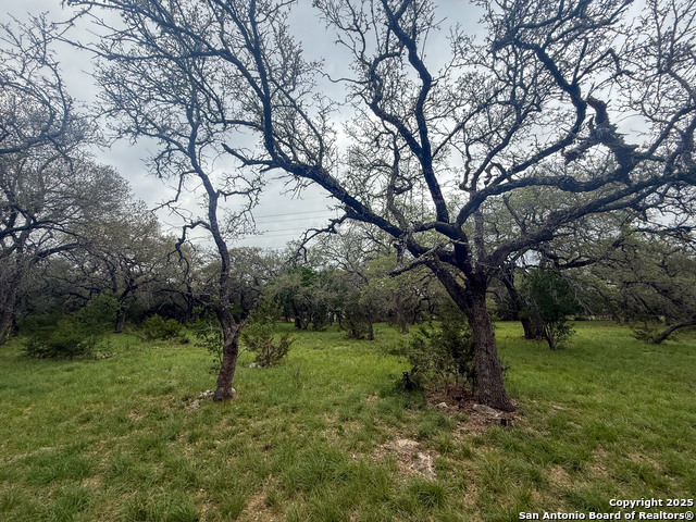 Listing photo id 2 for 23407 Osceola Bluff