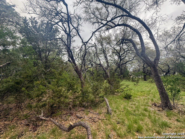 Listing photo id 3 for 23407 Osceola Bluff