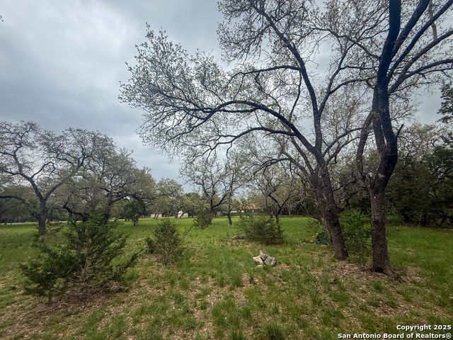 Listing photo id 4 for 23407 Osceola Bluff