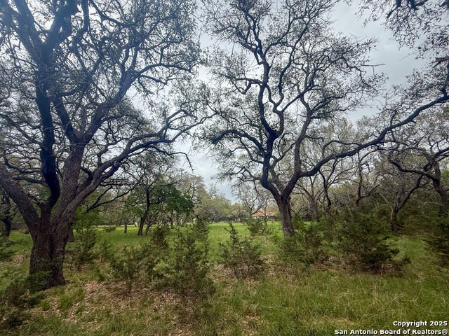 Listing photo id 5 for 23407 Osceola Bluff