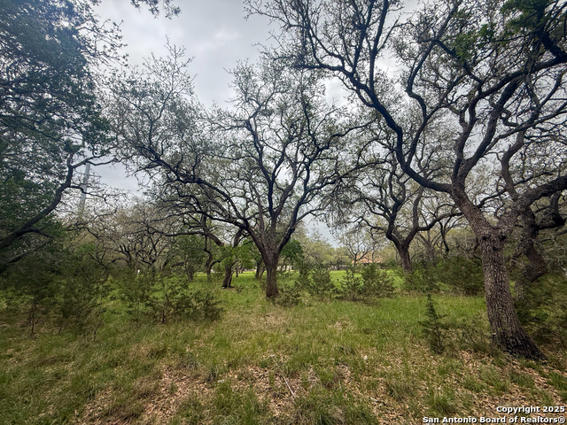 Listing photo id 6 for 23407 Osceola Bluff