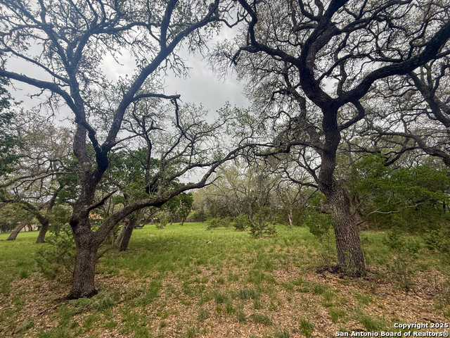 Listing photo id 7 for 23407 Osceola Bluff