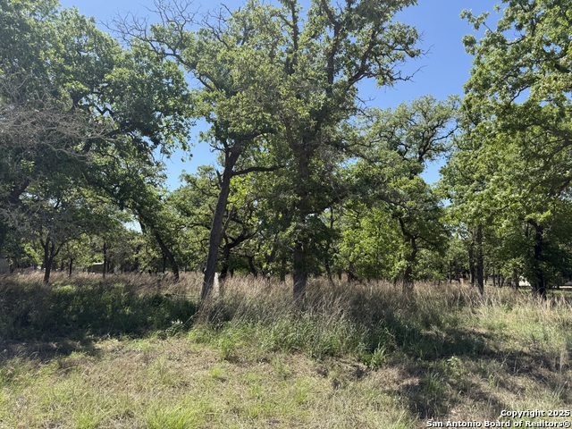 Listing photo id 0 for 0 High Point Ridge