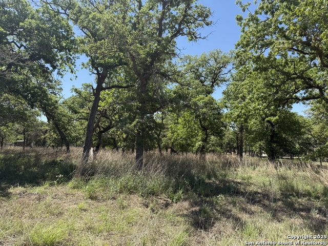 Listing photo id 1 for 0 High Point Ridge