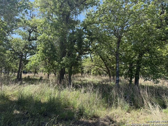 Listing photo id 2 for 0 High Point Ridge