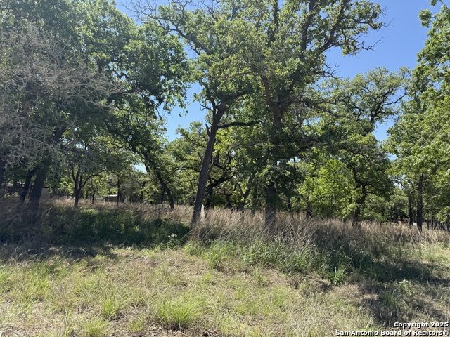 Listing photo id 3 for 0 High Point Ridge