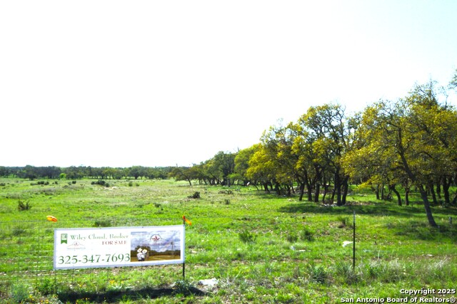 Details for 0000 Rr 783 S, Harper, TX 78631