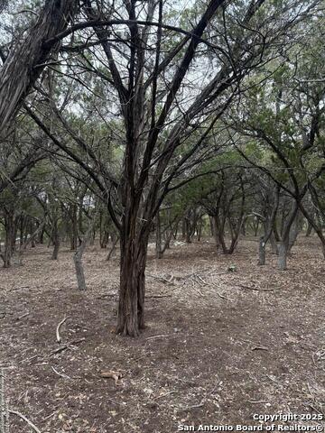 Listing photo id 0 for 00 Northeast Dr