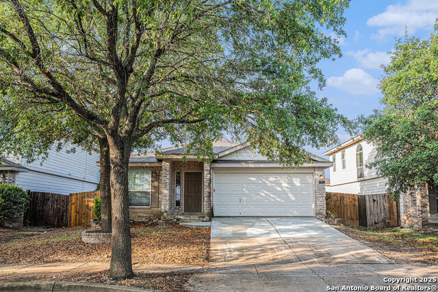 Details for 11022 Arabian Palm, San Antonio, TX 78254