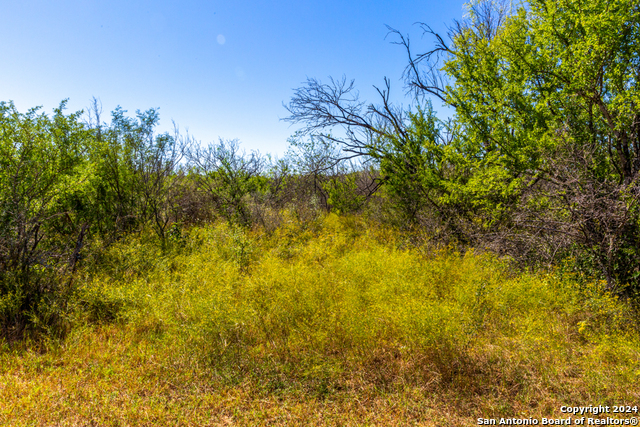 Listing photo id 6 for Cr 661 661