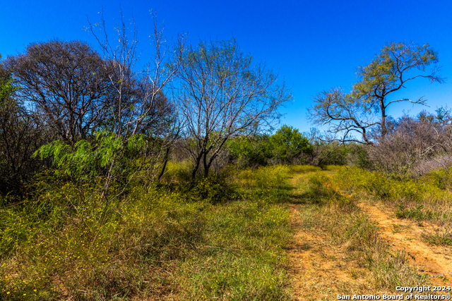 Listing photo id 7 for Cr 661 661