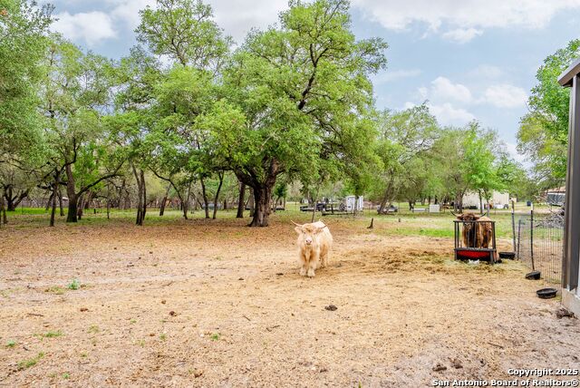 Listing photo id 55 for 140 Wood Valley Dr