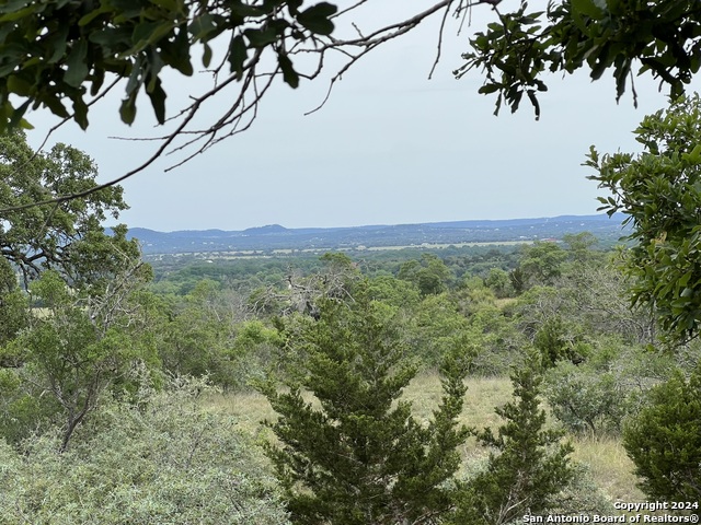 Details for Tract 98 Winans Creek Ranch, Bandera, TX 78003