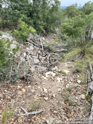 Listing photo id 8 for Tract 98 Winans Creek Ranch
