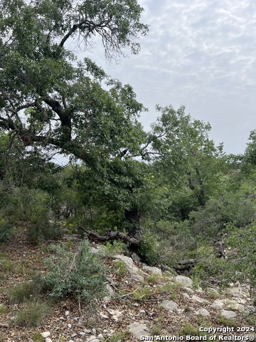 Listing photo id 9 for Tract 98 Winans Creek Ranch