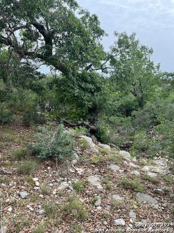 Listing photo id 10 for Tract 98 Winans Creek Ranch