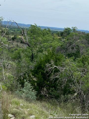 Listing photo id 11 for Tract 98 Winans Creek Ranch