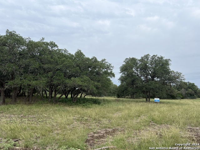 Listing photo id 0 for Tract 98 Winans Creek Ranch