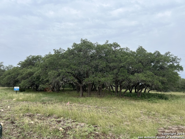 Listing photo id 2 for Tract 98 Winans Creek Ranch