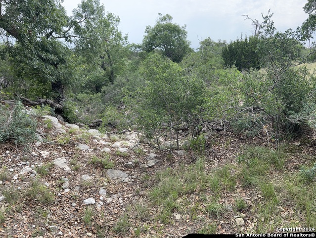 Listing photo id 3 for Tract 98 Winans Creek Ranch