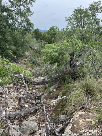 Listing photo id 7 for Tract 98 Winans Creek Ranch