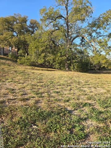 Image 14 of 18 For 126 128 130 132 Hampton Dr W