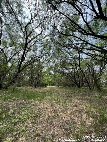 Image 11 of 17 For 15828 Fm 775