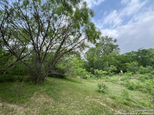 Image 6 of 17 For 15828 Fm 775