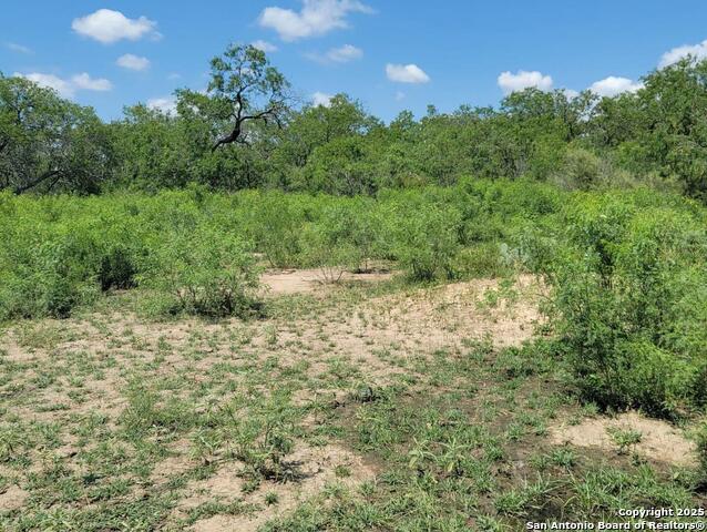 Details for 2142 Blue Creek, La Vernia, TX 78121