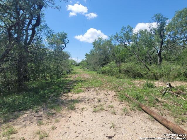 Image 4 of 23 For 2142 Blue Creek